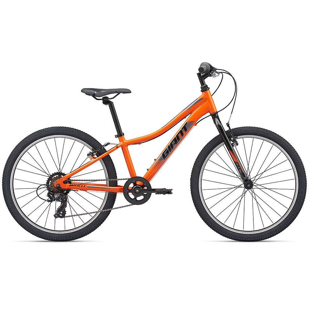 دوچرخه نوجوان جاینت مدل (2020) XtC Jr 24 Lite
