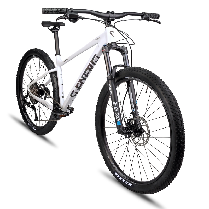 دوچرخه انرژی مدل HYDRA NEW2 29