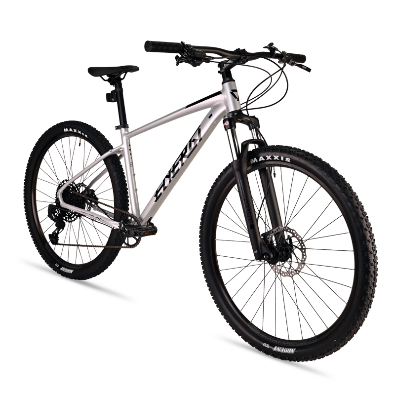 دوچرخه کوهستان انرژی مدل REVV 29