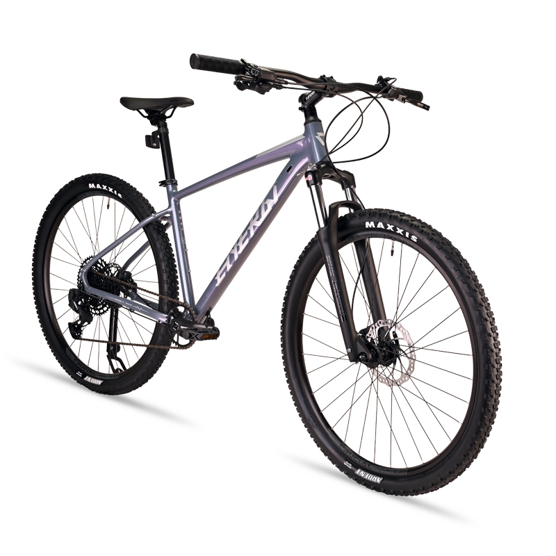 دوچرخه کوهستان انرژی مدل REVV 29