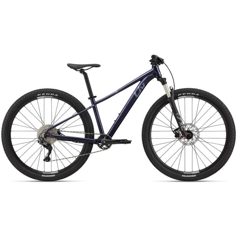 دوچرخه کوهستان لیو مدل (2022) Tempt 1 29