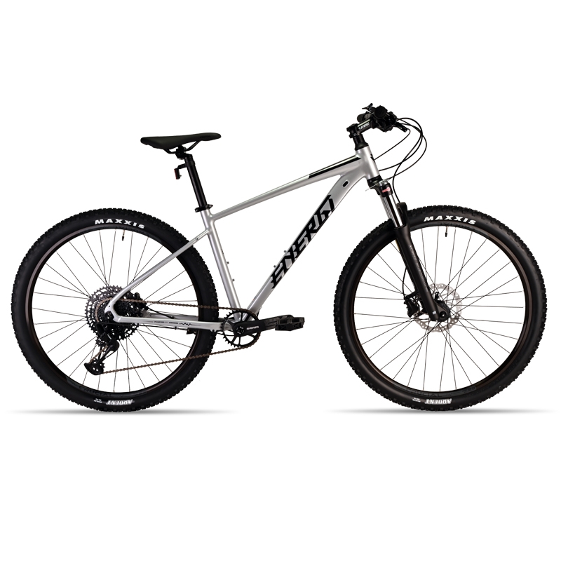 دوچرخه کوهستان انرژی مدل REVV 29