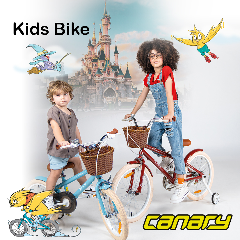  دوچرخه های کودک و نوجوان